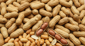 Groundnuts