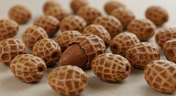 Tiger Nuts